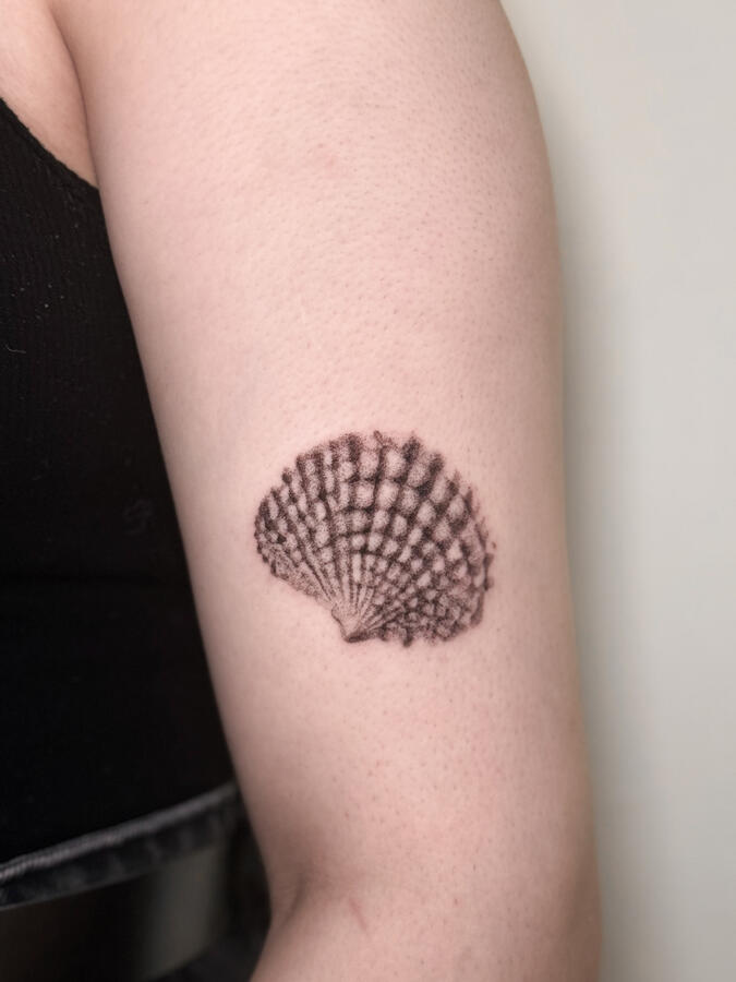 Legacy collection Legacy collection